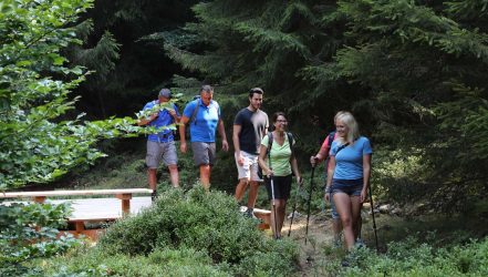 Besuch auf den Trekking Camps