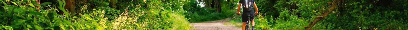 Radfahrer im Wald