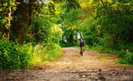 Radfahrer im Wald