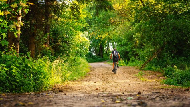 Radfahrer im Wald