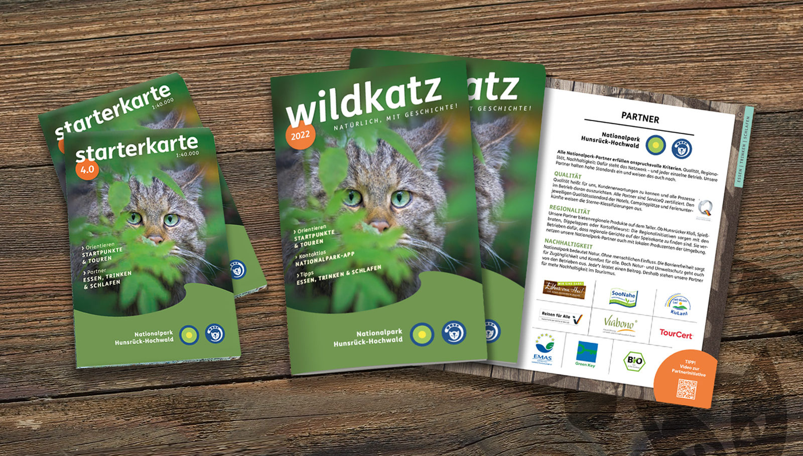 Wildkatz und Starterkarte