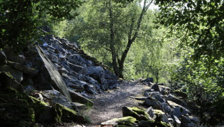 Felsen an der Wildenburg Konrad Funk