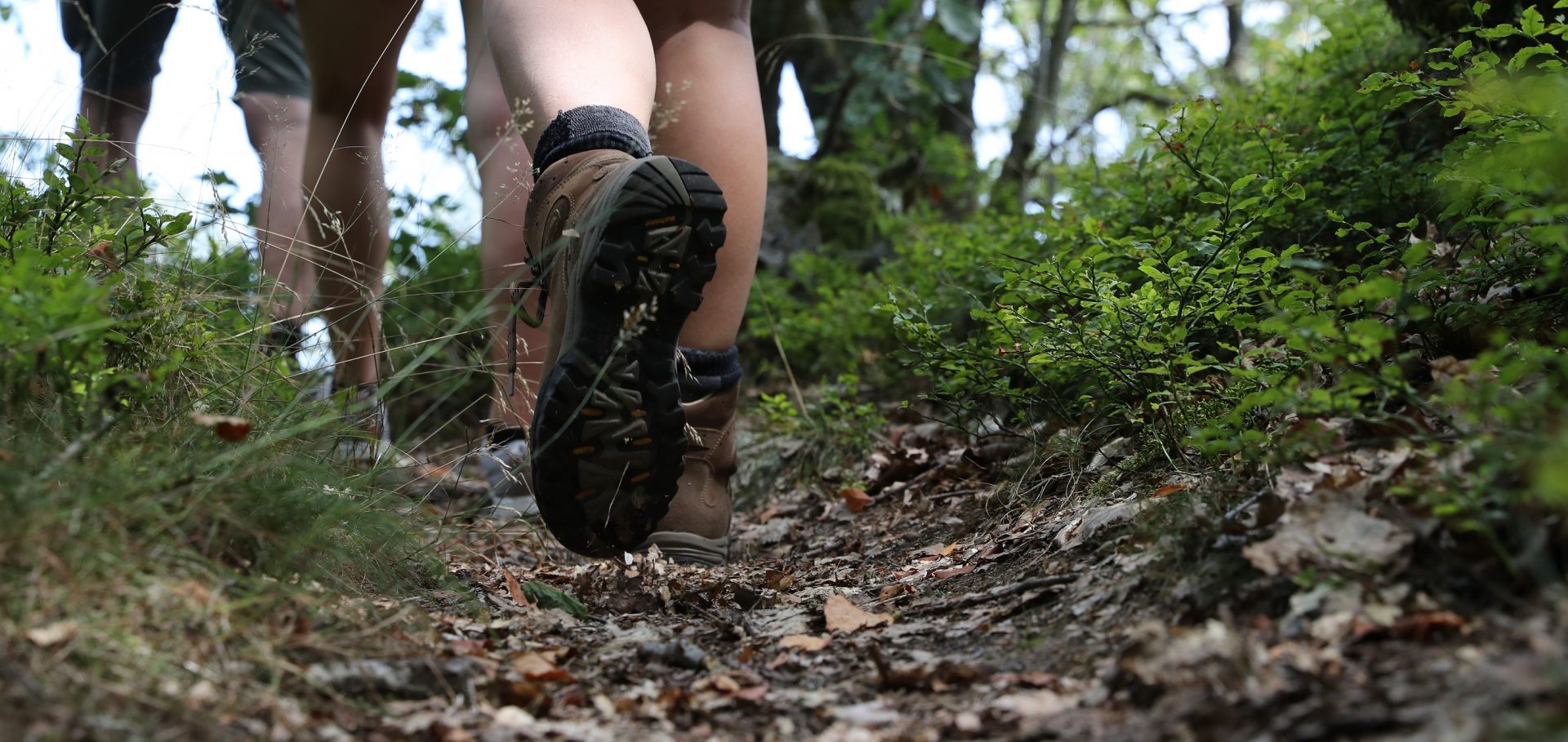 Wanderer im Nationalpark