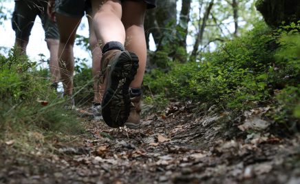 Wanderer im Nationalpark