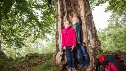 Kinder im Nationalpark