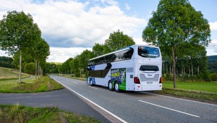 Nationalpark-Bus