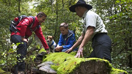 Ranger mit Besuchern