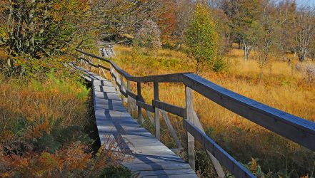 Traumschleife Ochsenbruch im Herbst