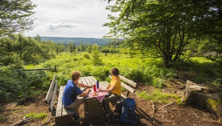 Traumschleifen im Nationalpark