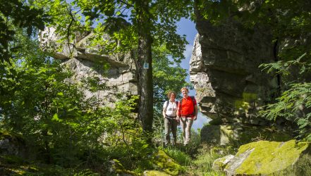 Traumschleifen-im Nationalpark