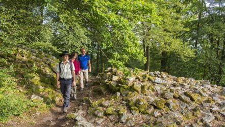 Traumschleifen im Nationalpark