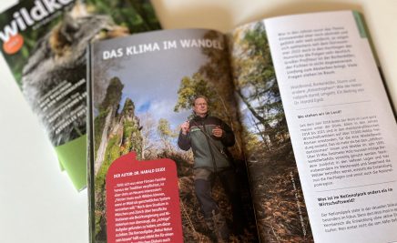 Offenes Wildkatz-Magazin