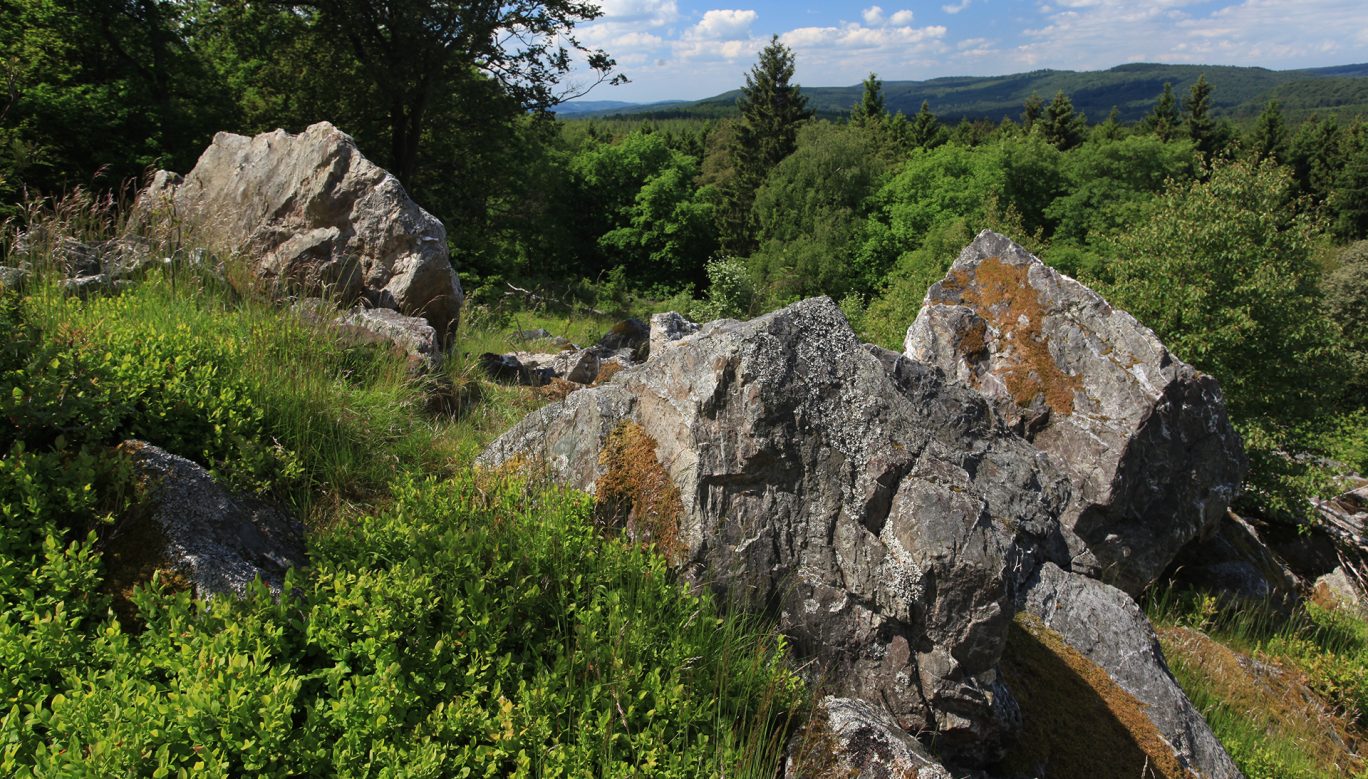 Wehlenstein