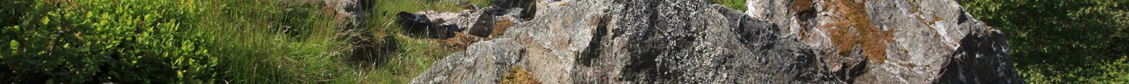 Wehlenstein