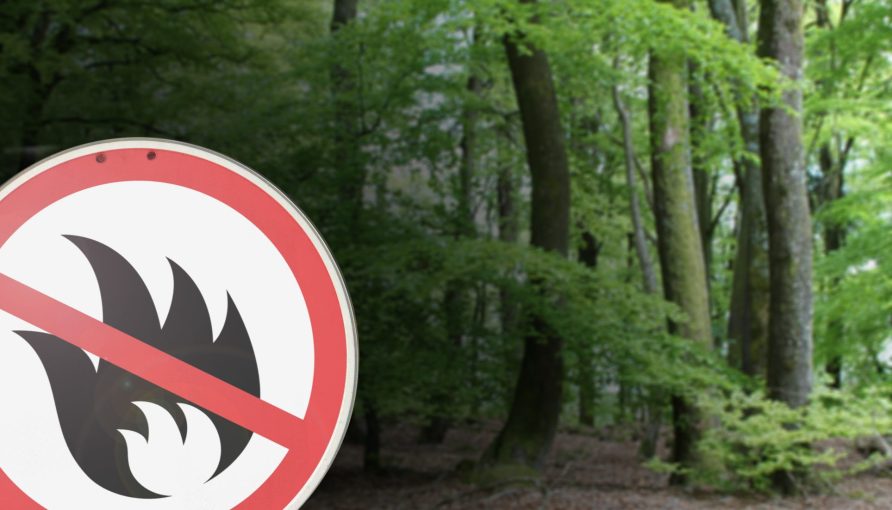 Waldbrandgefahr