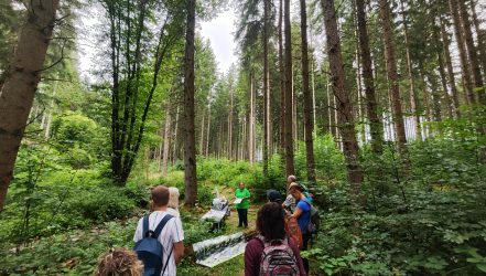 Menschen im Wald