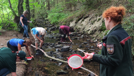 Sammeln von Steinen im Fluss während der Mint Wanderung