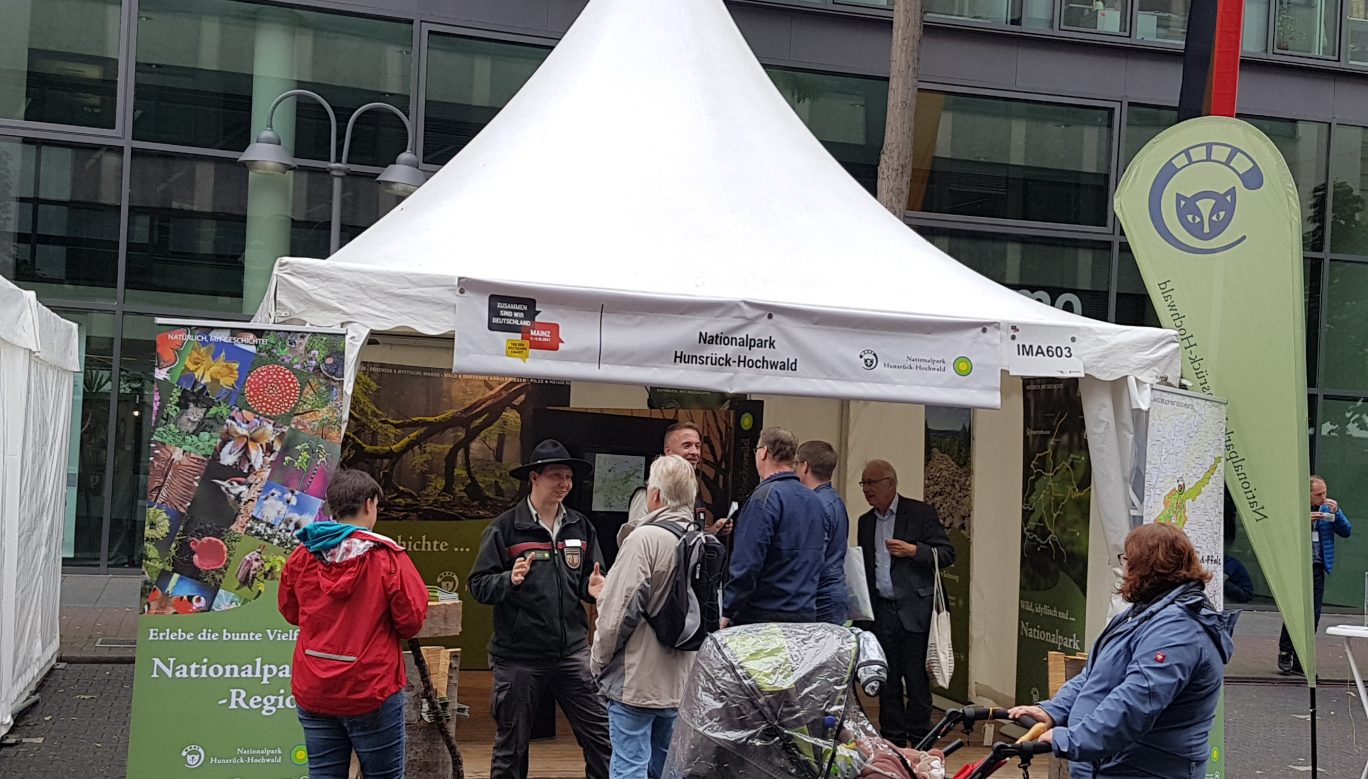 Ranger am Infostand