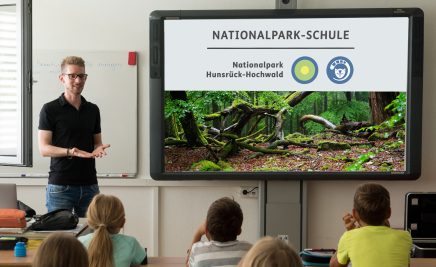 Nationalpark-Schule Beispielbild