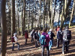 Impressionen aus dem NLP 