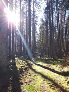 Impressionen aus dem NLP