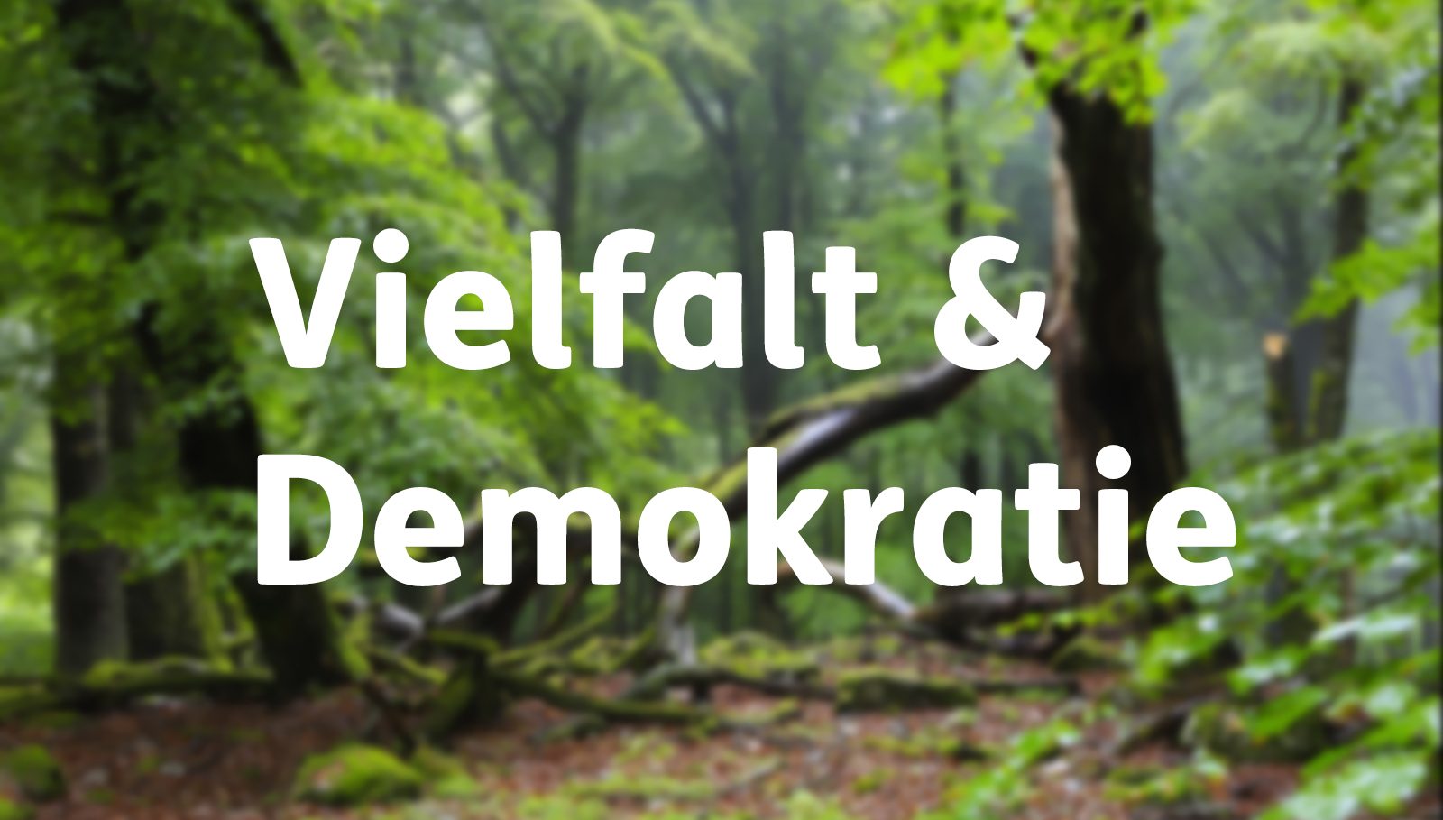 Vielfalt & Demokratie