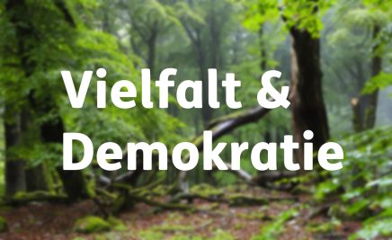 Vielfalt & Demokratie