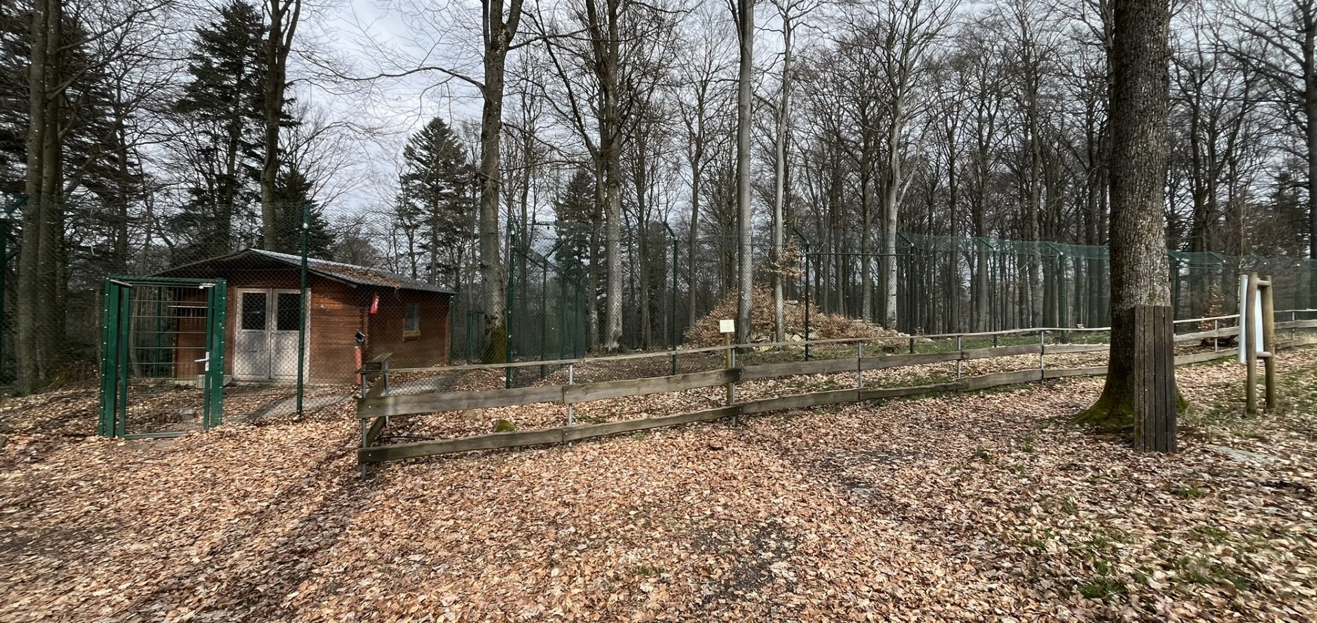 Wildfreigehege Wildenburg