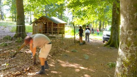 Workcamp 2025, Zaunreparatur im Wildfreigehege