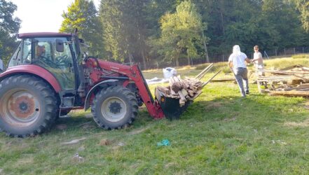 Workcamp 2025, Einsatz im Wildfreigehege Wildenburg