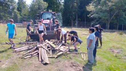 International Workcamp 2025