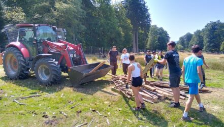 Workcamp 2025, Futterhüttenbau im Wilfreigehege