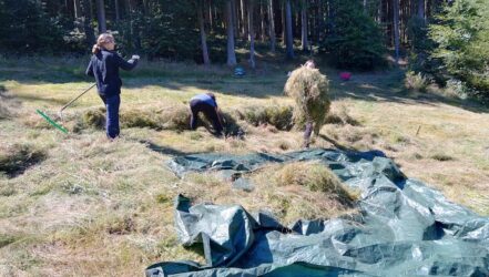 Workcamp 2025, Teilnehmende bei der Heumahd
