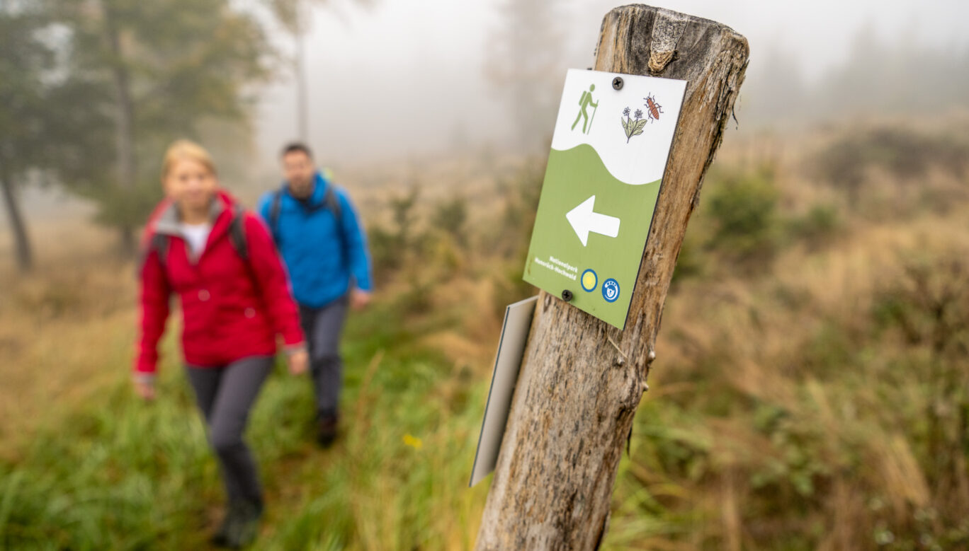 Zwei Wanderer Auf dem Pfad