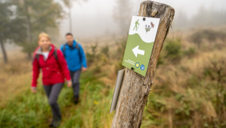 Zwei Wanderer Auf dem Pfad