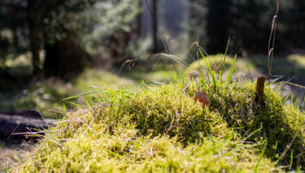 Bürgerforum-Exkursion