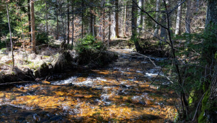 Bürgerforum-Exkursion