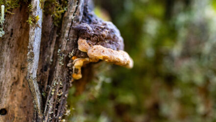 Bürgerforum-Exkursion