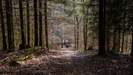 Bürgerforum-Exkursion