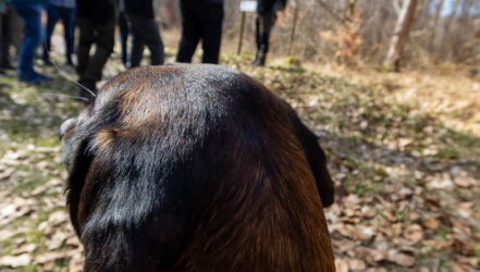 Bürgerforum-Exkursion