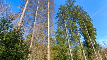 Bürgerforum-Exkursion