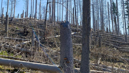 Bürgerforum-Exkursion