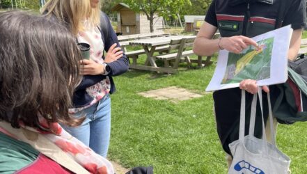 Wildfreigehege - Pläne des Ausbaus