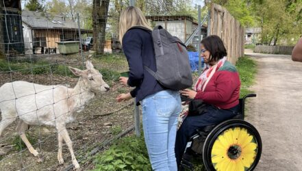 Am Gehege - Fütterung der Tiere