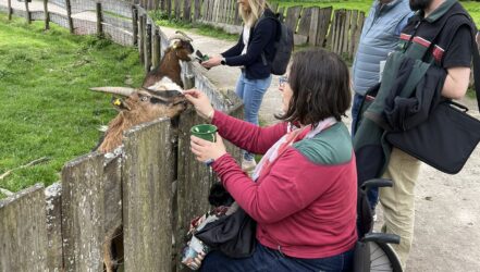 Tierfütterung Ziegen