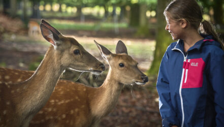 Kind und Tiere im Wildfreigehege