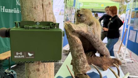 Jubiläumsfest 60 Jahre Wildfreigehege Jubiläumsfest 60 Jahre Wildfreigehege
