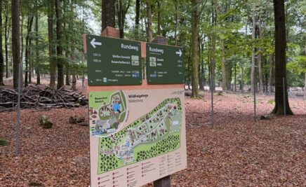 Neuer Gehegeplan – es entwickelt sich viel Neuer Gehegeplan - es entwickelt sich viel