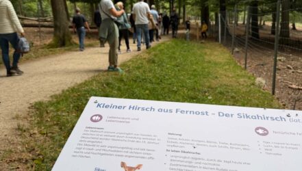 Jubiläumsfest 60 Jahre Wildfreigehege Jubiläumsfest 60 Jahre Wildfreigehege