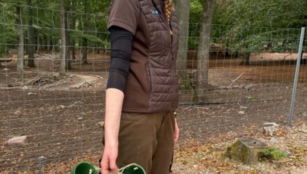 Jubiläumsfest 60 Jahre Wildfreigehege Jubiläumsfest 60 Jahre Wildfreigehege